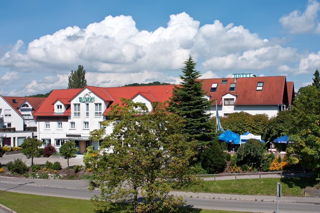 Hotel Waldhorn FDH Exterior foto